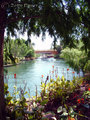 DSCF0112_EDT.jpg