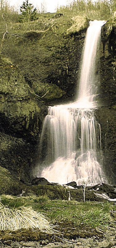 Foss
