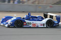Race Winner.jpg