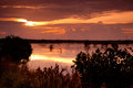Marsh Sunrise