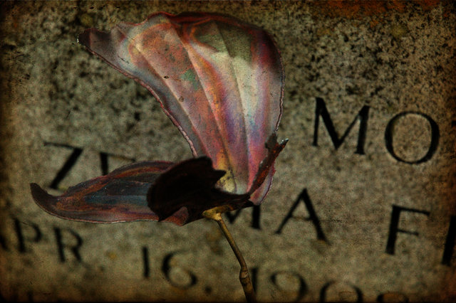 Final Destination: Iridescence