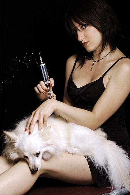 Good Dog...