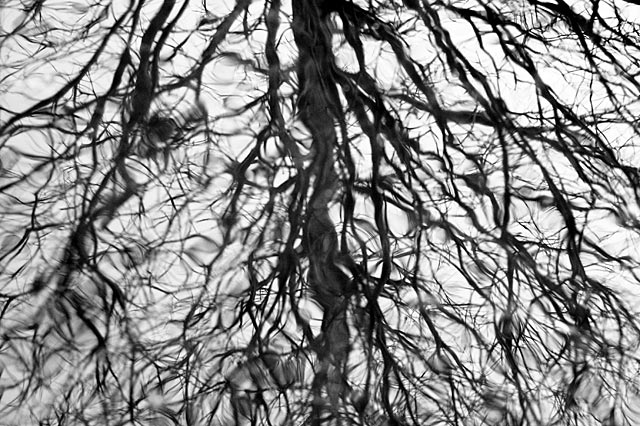 Reflection