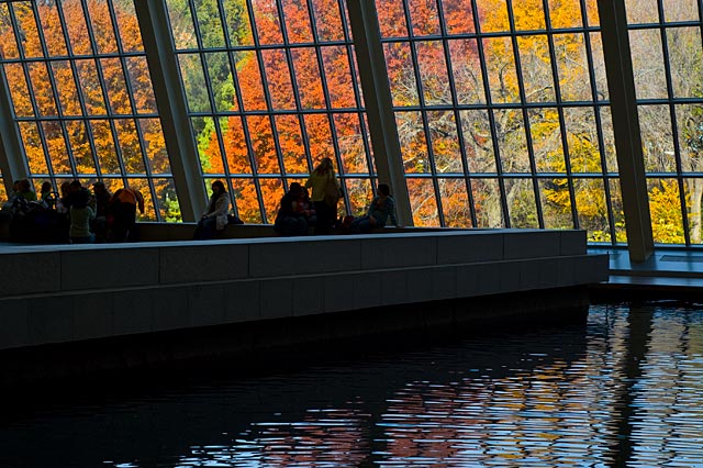 The Met in Fall