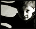 B & W Collection