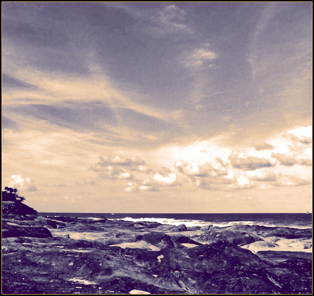 Paradise.jpg