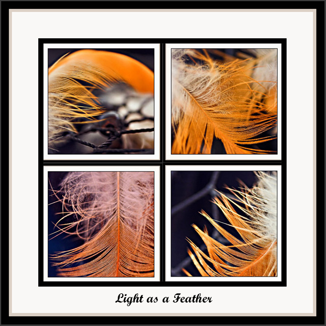 Light as a Feather  Day 29