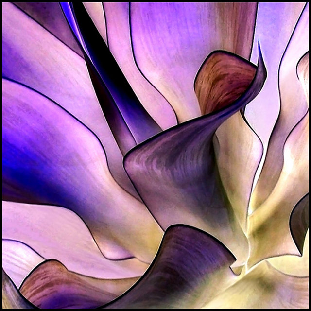 Agave Mauve