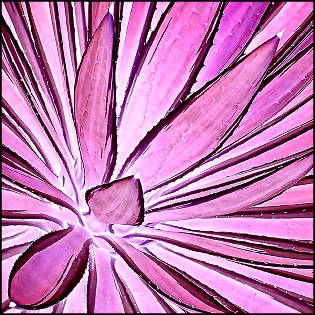 Natures Pink Invert