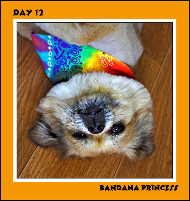 Bandana Princess Day 12