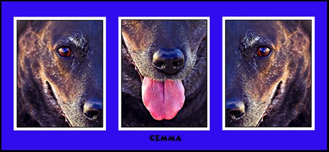 Day 18 Gemma Triptych