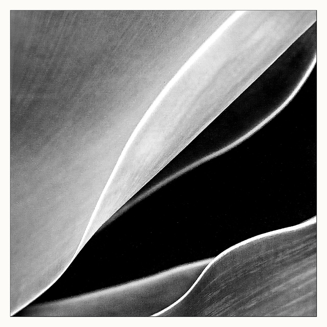 Day 4 - Folds & Curves