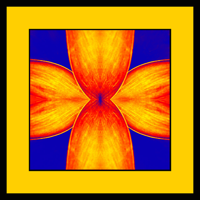 Symmetry Yellow