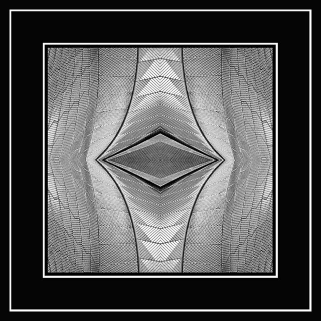 Metallicia Silver with Border