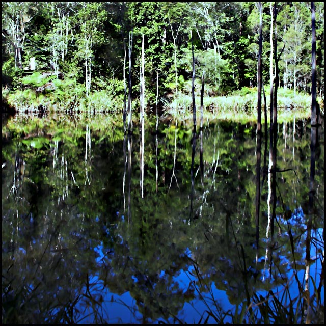 Day 17/50 -  Australian Reflection