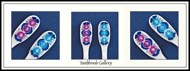 Toothbrush Gallery - Day 28