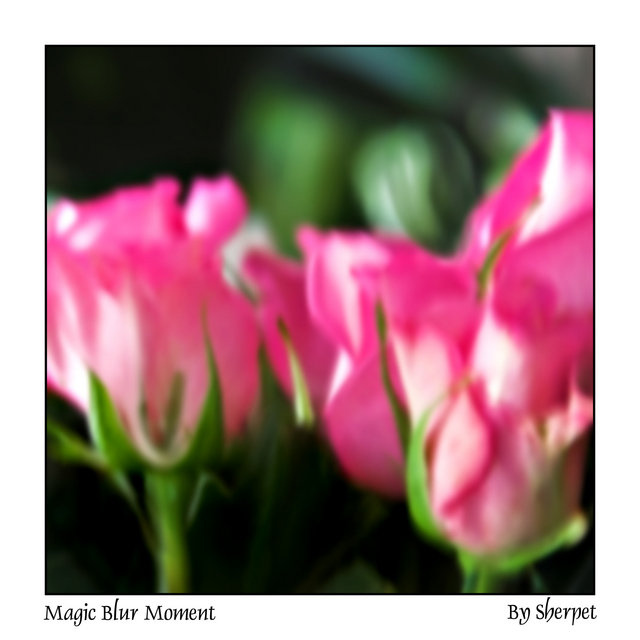 Magic Blur Moment - Day 13
