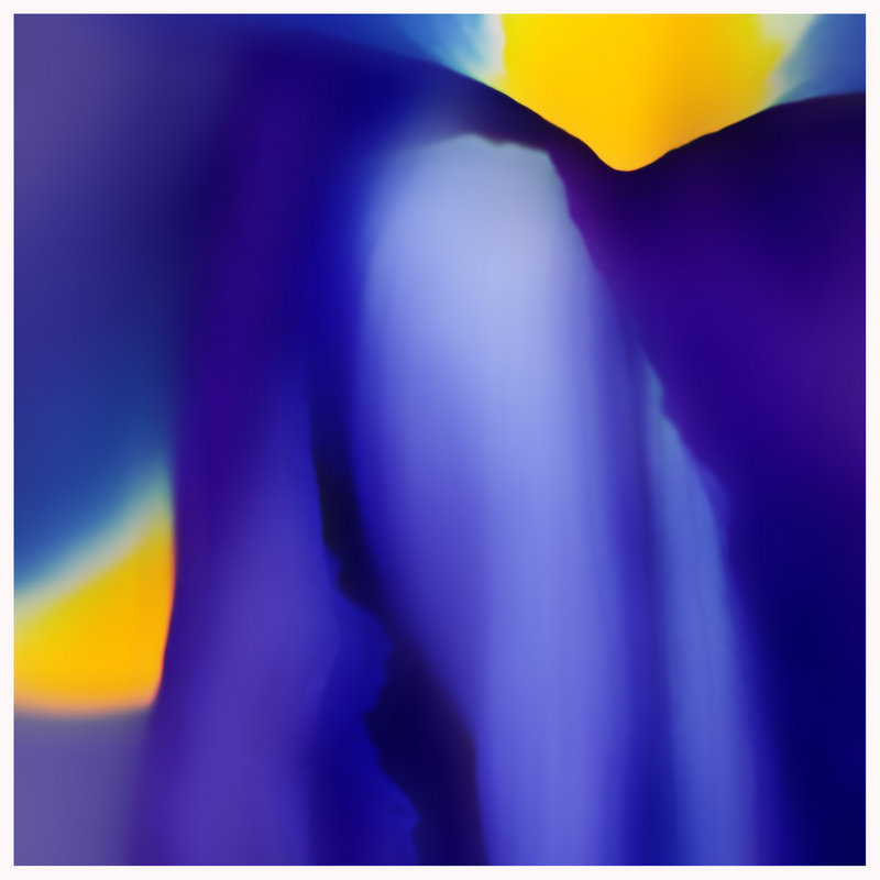 IRIS with Surface Blur 