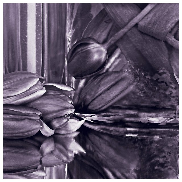 Soft Lilac ILLUSION - Day 11