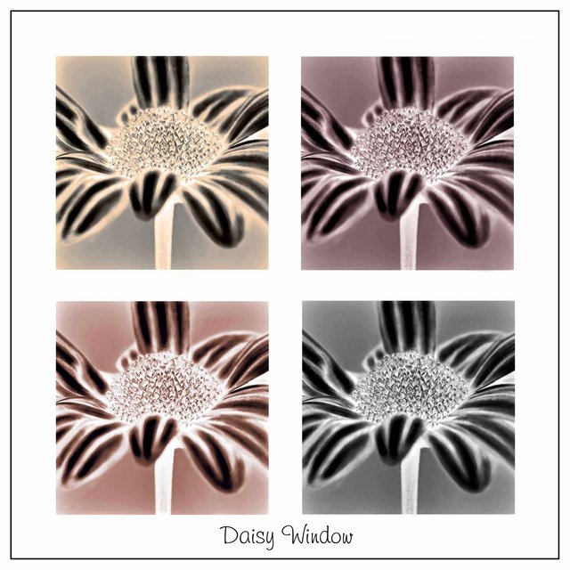 Daisy Window - Invert - Day 29