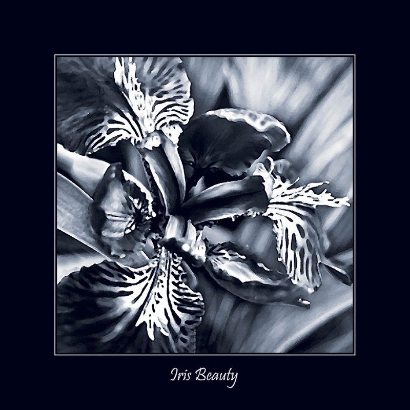Iris Beauty