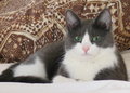 Exton Portrait