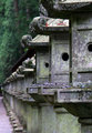 Nikko