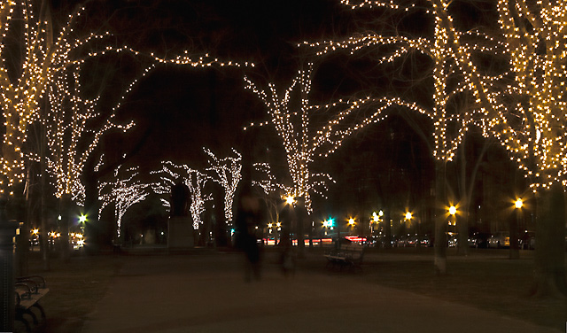 Midnight walk