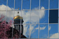Reflections of Quincy