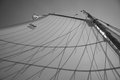 Gaff-Rigged