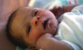 Buttercup-021.jpg