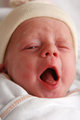Being Born Is Such Hard Work