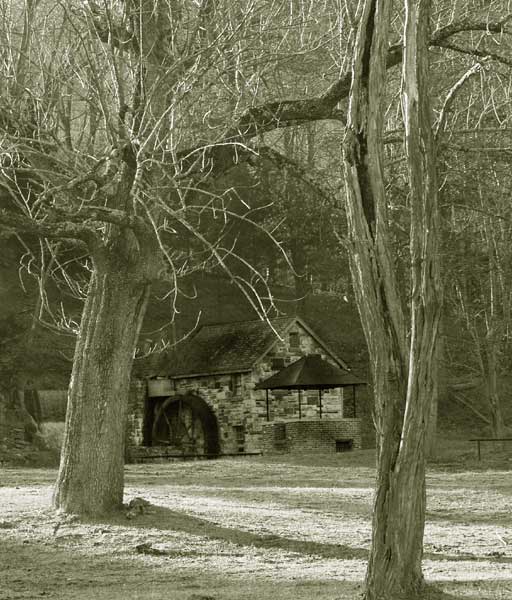 P2194503bm.jpg