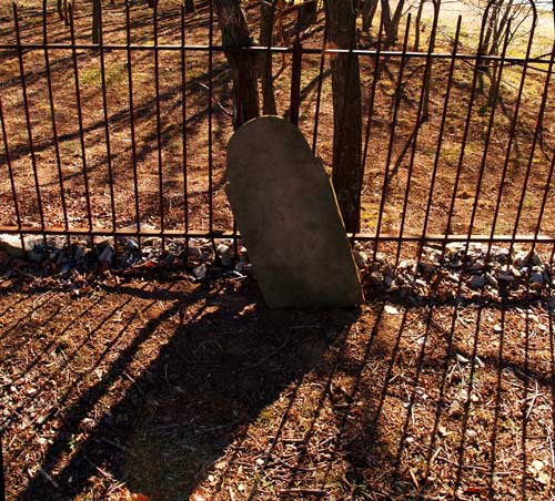 P2235017.jpg