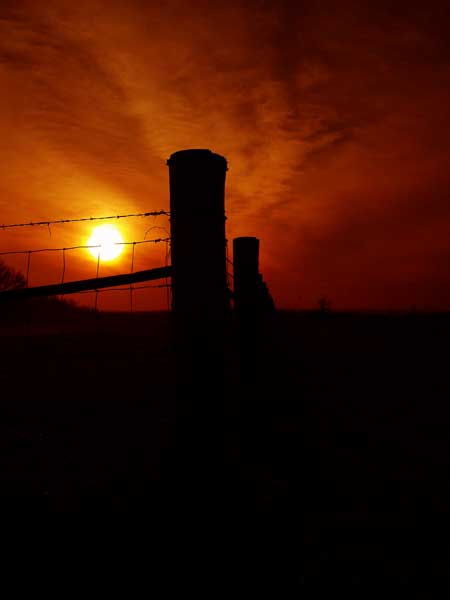 P3126474rm.jpg