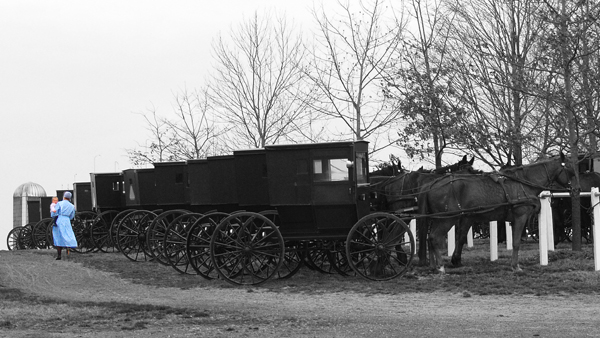 P3116378 copy.jpg