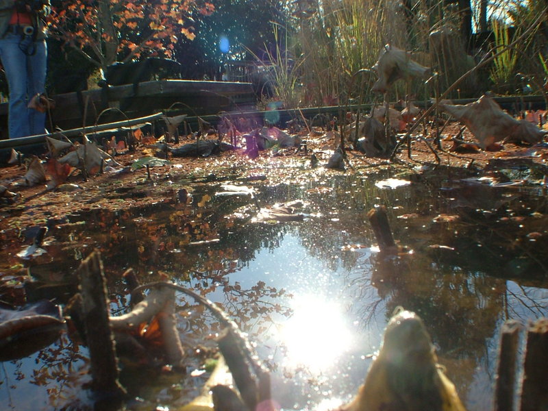 UT botanical and ice rink 003.jpg