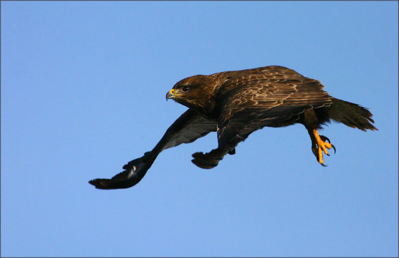 Flying...