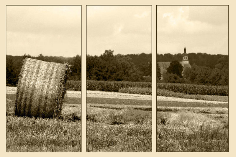 German landscape