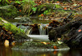Small Flow