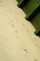 Footprints in the Sand