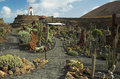 Jardin du Cactus