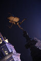 DPP_00094a.jpg