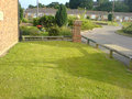 My New Garden