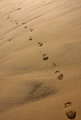 Footprints