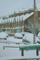 Snowy Sussex 1