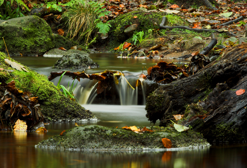 Small Flow