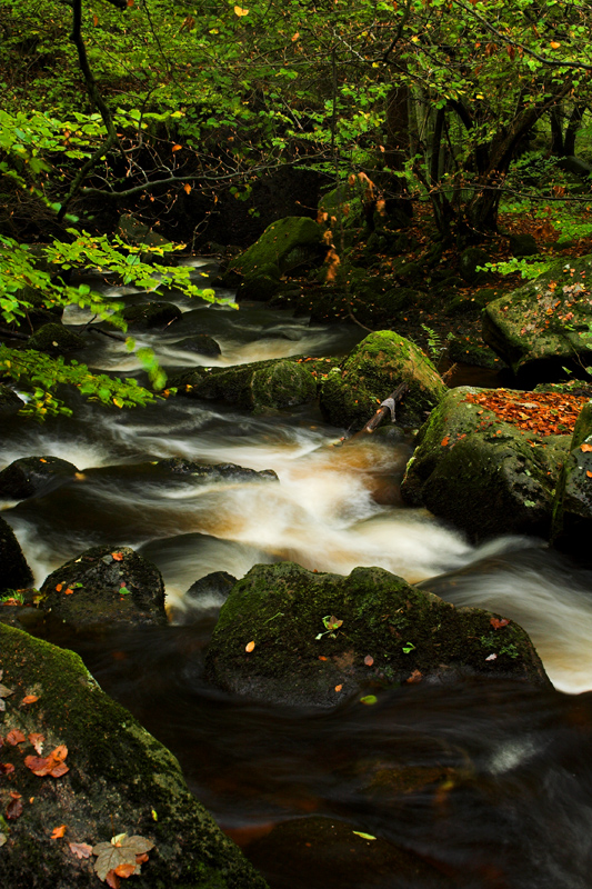 Padley Gorge