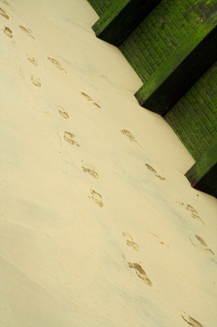 Footprints in the Sand