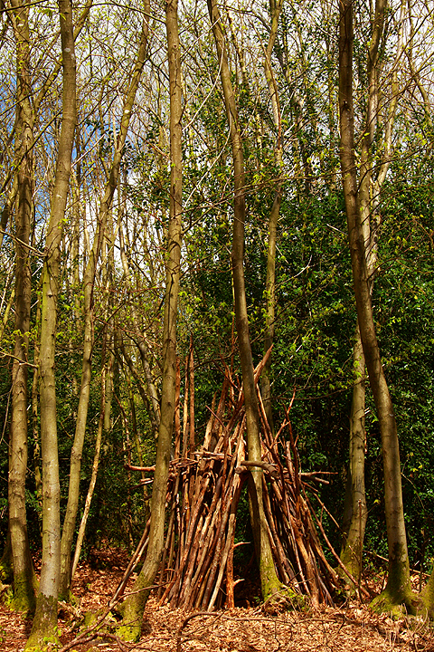 Wigwam in the Woods!